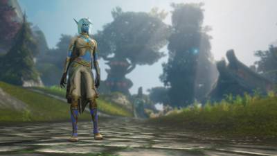 Skyborne customization